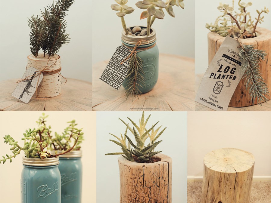 DIY Holiday Gifts using Logs, Stumps & Succulents