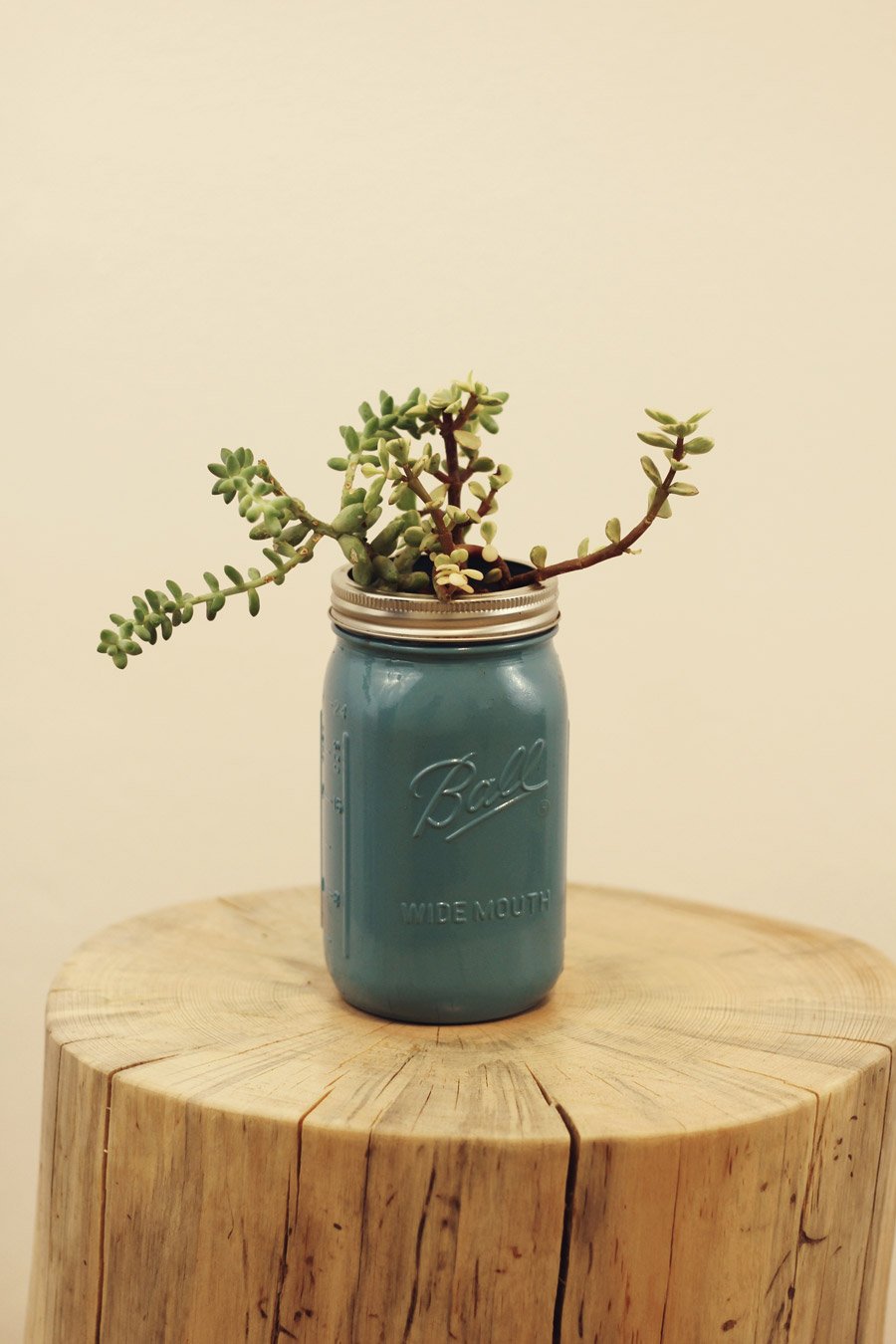 Mason jar succulent gift