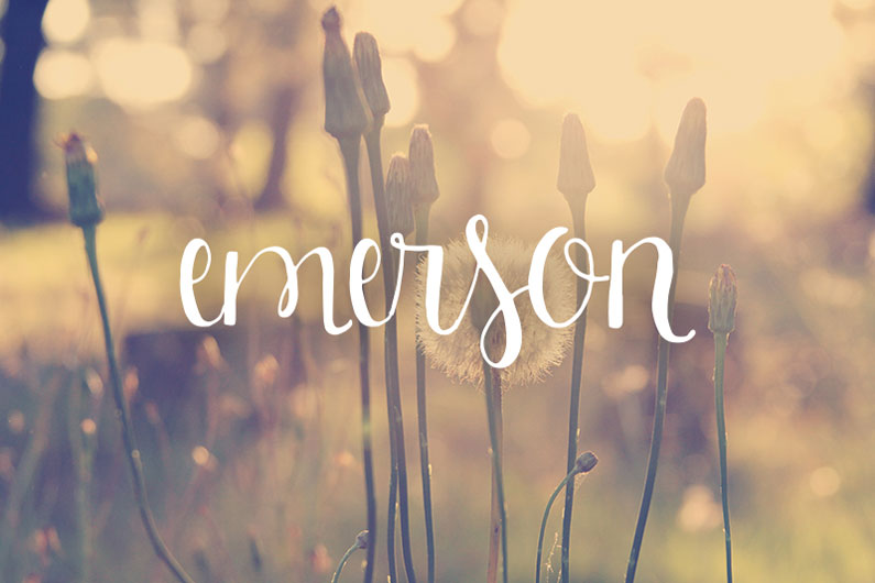 Emerson-script
