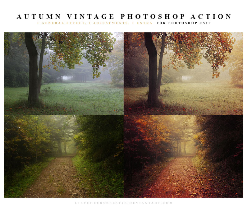 The best free photoshop actions for photographers - Autumn Vintage Photoshop Actions