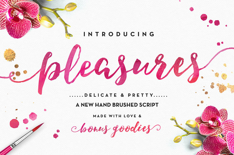Pleasures Brush Script Font