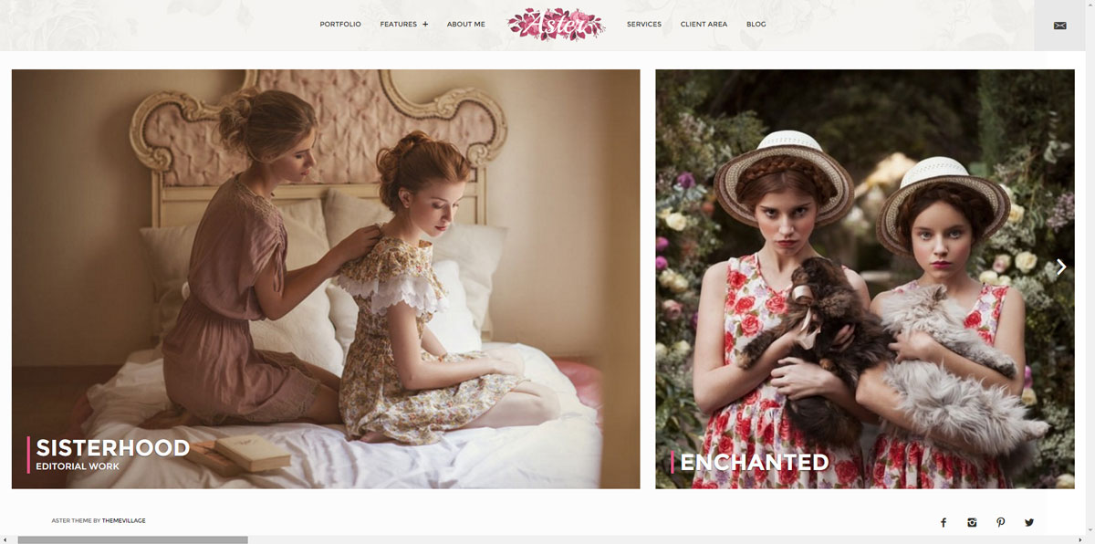 Aster – Photography Theme