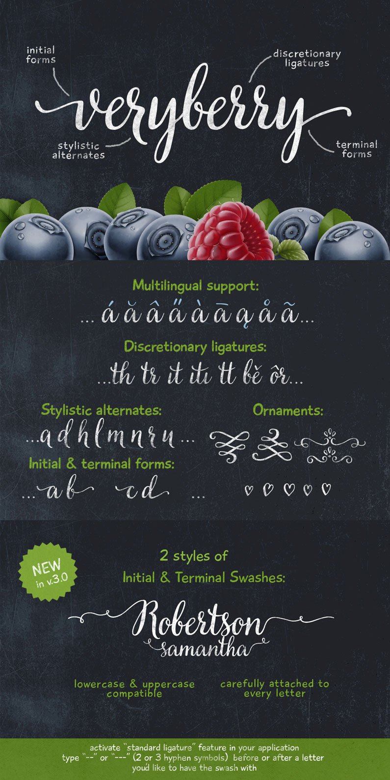 Veryberry is a handwritten font with a unique character. Full of open type features, is best used in an open type aware software.