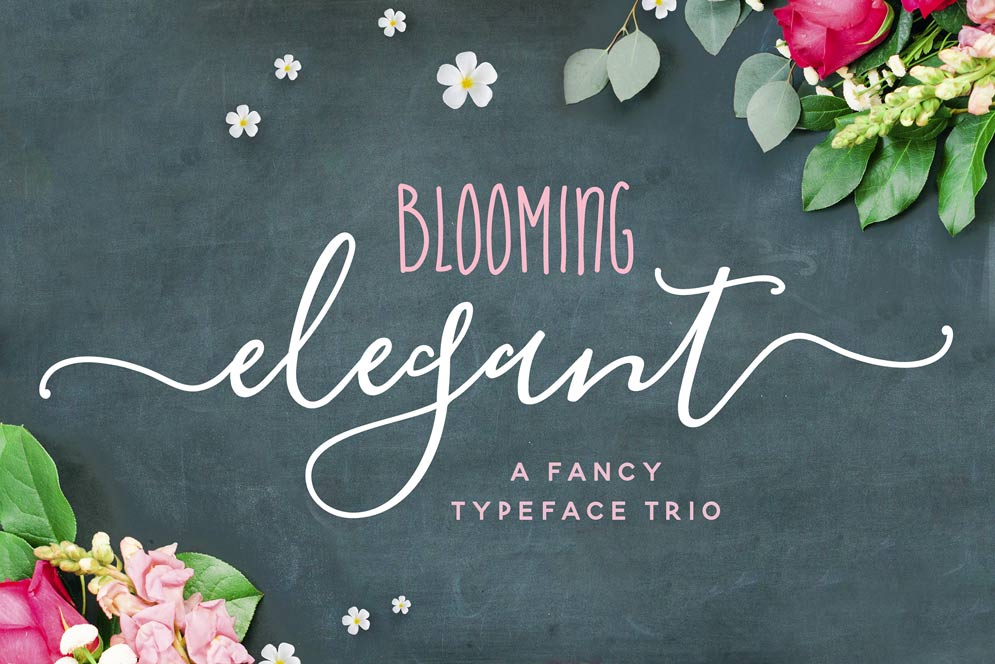 Blooming Elegant Font Trio