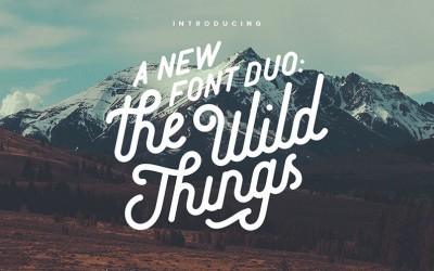 The Wild Things – A New Vintage Font Duo
