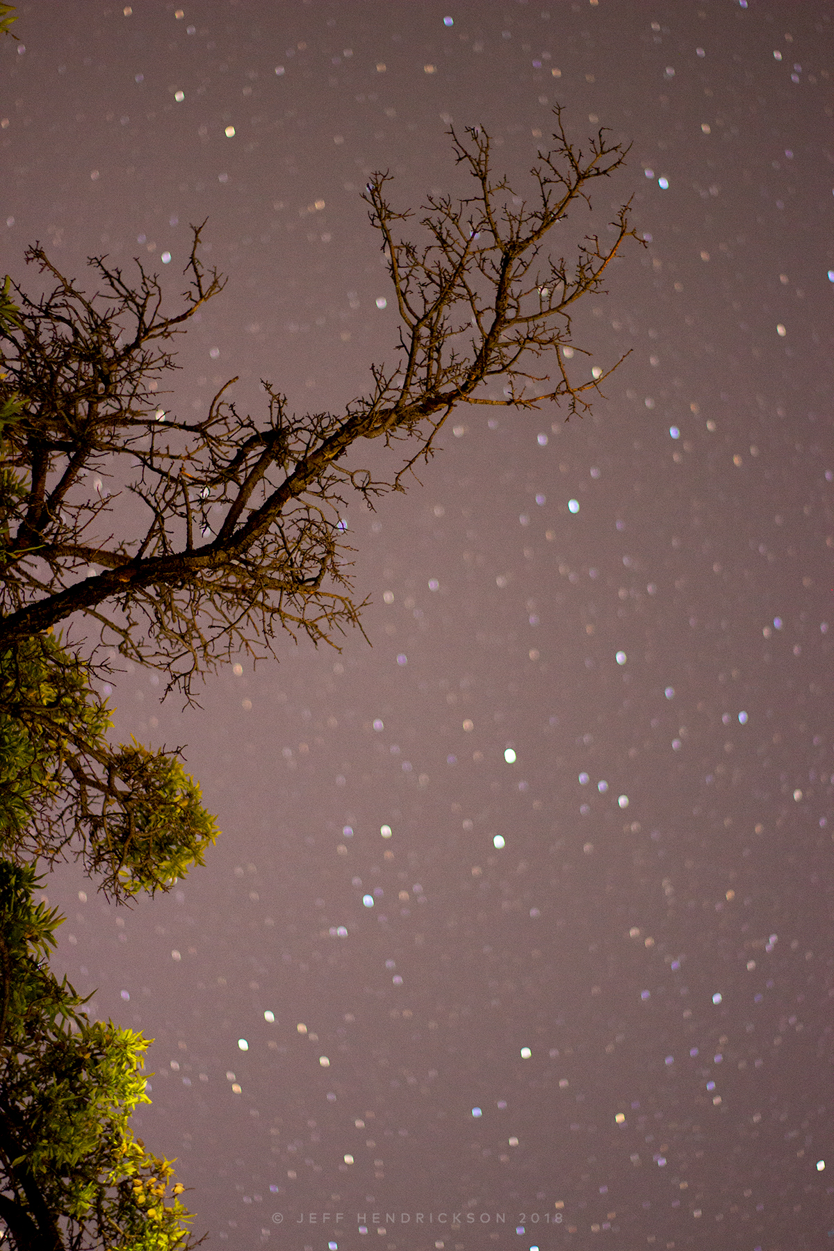Stars at night in Southern Utah